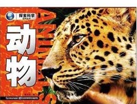 《小鸟》读后感100字
