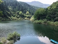 关于当局者迷名言名句
