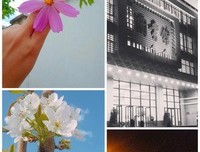《当时只道是寻常》的句子