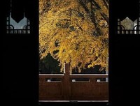 最经典的《锁清秋》经典句子