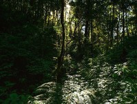 《36个视角看圣卢普山》影评100字