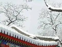 牵牛花浮世无篱笆：千代尼俳句250读后感锦集