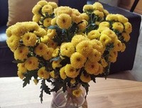 《放学后的屋顶》经典观后感有感