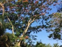 关于跋山涉水的格言