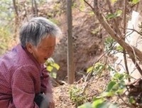 丧子未必是坏事
