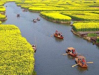 最全的《流年伴夏》佳句摘抄