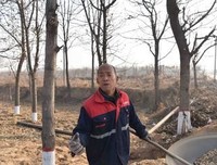 《儿子，你都干了什么》影评100字
