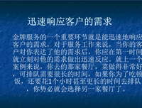 《金牌客服董董恩》读后感摘抄