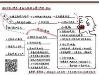 《博恩·崔西口才圣经》读后感100字