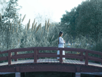  梦回 都灵的读后感大全