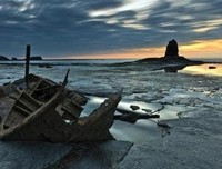 《知日·源氏物语，一本满足！》的读后感大全