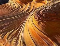 秀丽的名言_关于秀丽的名言