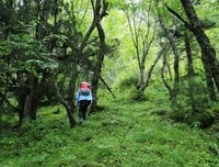 若无好天气，就自己成为风景读后感1000字