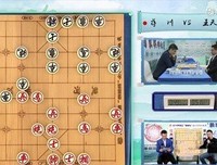 《象棋王》观后感100字