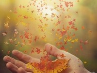 谁的等待，恰逢花开句子大全