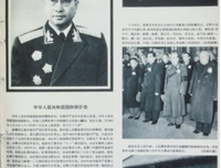 《陈赓大将》经典观后感有感