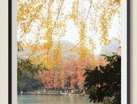 《一帘幽梦》影评精选