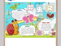 《了不起的昆虫》读后感1000字