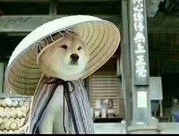 《钱从哪里来？》读后感100字