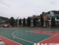 野草在歌唱的读后感大全