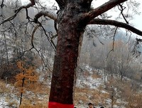 景区景点人为“神化热”应降温