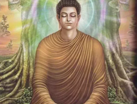 命运早晚会让我们相遇的读后感精选