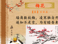 在这世界的角落读后感1000字