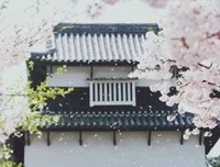 关于关于爱情的优美句子