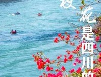 柯寒语录
