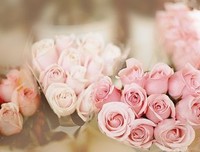 最全的《一个勺子》好段摘抄