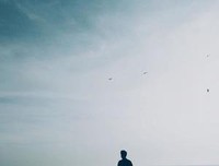 最全的《每个人都是一座孤岛》好段摘抄