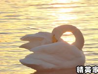 《世事如刀，我来领教》读后感精选