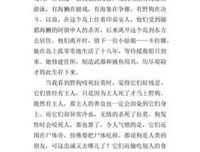 《内陆岛屿》读后感100字