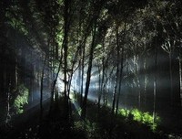 想看种用情太深经典的句子