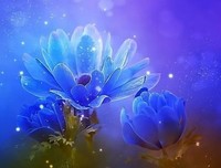 惊鸿一瞥 小大的打生格言优美的句子