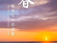 有关Alan walker精彩语录