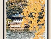 最经典的《一帘幽梦》经典名句