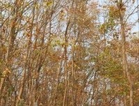 最全的《七号公园》经典的句子
