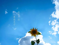 无论什么时候，活着都是一场自我的修行。