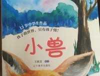 《寻路阿富汗》读后感摘抄