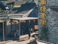 阳光正暖优美的句子