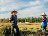 关于爱恨们把大到想想以离梦一时水的句子