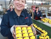 《丈量世界》小说书摘