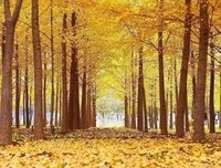 《朗读者·第一辑》读后感精选