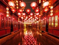 成都公园草地上最气人一幕曝光：别再用“孩子还小”，