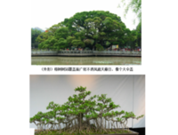 生有岁气起岁好词好句