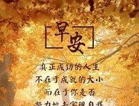 如意的优美句子