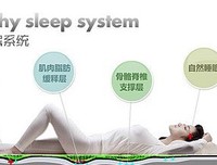 就像星星被浪费在夜空里读后感摘抄