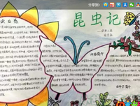 《不为所动》读后感精选