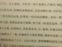 最初的光明，最后的黑暗读后感摘抄